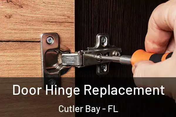 Door Hinge Replacement Cutler Bay - FL